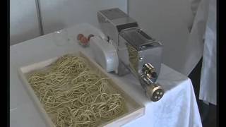 Macchina per pasta con trafile Made in italy professionale bigolaro elettrico LILLODUE [upl. by Arras]