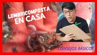 TIPS básicos para tener una LOMBRICOMPOSTERA en CASA FÁCIL Y GRATIS 2 [upl. by Tamera]