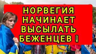 НОРВЕГИЯ НАЧИНАЕТ ВЫСЫЛАТЬ БЕЖЕНЦЕВ [upl. by Demeter179]