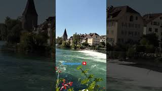 Swiss beauty  Bremgarten 🇨🇭swiss swissbeauty switzerland shorts short shortvideo [upl. by Abott]