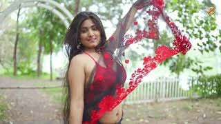 Model expression video in saree  Saree Fashion  Saree lover  Saree sundari [upl. by Dehnel445]