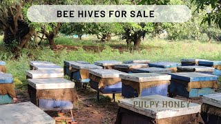 Bee Hives For Sale beekeeping bee honeyforsale buybeeboxes kamareddy savethebees pulpyhoney [upl. by Sehguh]