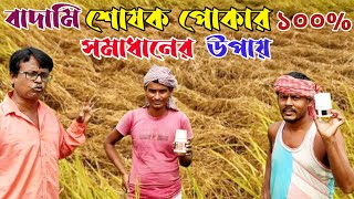 বাদামি শোষক পোকা বা কারেন্ট পোকা থেকে ধান রক্ষা করার স্থায়ী সমাধান  BPH on Paddy Control  bph my [upl. by Ecinej]