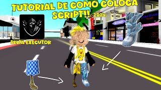 tutorial de como colocar script 2024 [upl. by Adrea770]