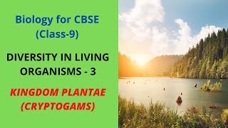 Kingdom Plantae I DIVERSITY IN LIVING ORGANISMS  3 [upl. by Kohcztiy]