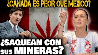 ¿Canadá le tiene Miedo a México ¿Debería salir del TMEC [upl. by Norrehs]