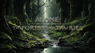 Jeremy Soule Skyrim — “Alone in The Forests of Tamriel” 3 Hr mix [upl. by Melar]