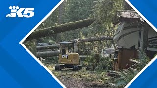 At least 50 RVs campers crushed by trees at Lake Stevens campground [upl. by Hogan724]