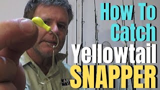 How to catch YELLOWTAIL SNAPPER  Yellowtail Snapper Fishing [upl. by Bennie]