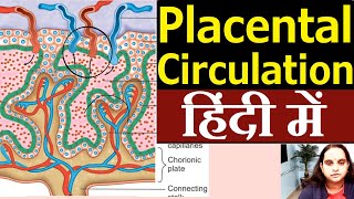 Placental Circulation in Hindi  Nursing Lecture [upl. by Atoiyanap525]