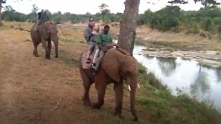 Safari en elefante en las Cataratas Victoria  Elephant back safari Victoria Falls [upl. by Adnouqal]