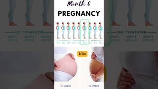 6 महीने के गर्भ में शिशु का विकास  6 month baby growth and development pregnancy pregnancy baby [upl. by Kane]