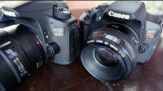 Canon 60D vs T4i [upl. by Nahtnamas]