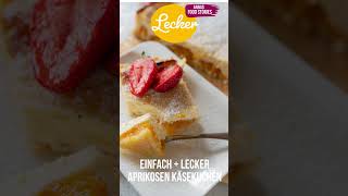 Aprikosen Käsekuchen  so lecker und so einfach  tolles Sommerkuchen Rezept [upl. by Jerrol]