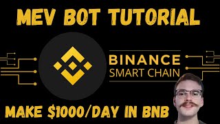 MEV bot for Binance Smart Chain in Solidity  Passive Income 1000daily [upl. by Ahsirahc290]