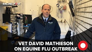 Veterinary surgeon David Mathieson explains the equine influenza outbreak [upl. by Trevar]