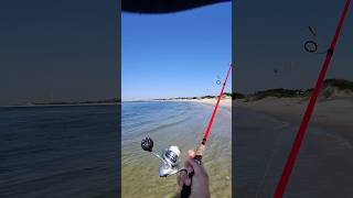 Flatties fishing longisland beach fyp beachfishing trending catchandrelease fish shorts [upl. by Afrika]