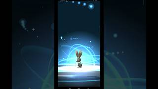 BUNNEBLY SHINY  DIGGERSBY ✨ EVOLVE [upl. by Doreen]