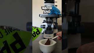 Microbe VS One Chip Challenge microscope science onechipchallenge [upl. by Engedi]