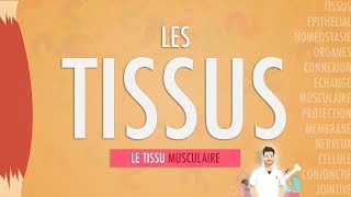 LES TISSUS LE TISSU MUSCULAIRE Partie 2 [upl. by Aelrac380]