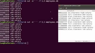 M06T22  Intro to Linux  cut amp paste Linux Command Line style [upl. by Eeramit]