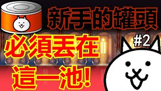 《貓咪大戰爭》新手必中必須丟這一池！他們優先度遠大於藍眼！ 2 [upl. by Perron]