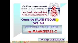 cours de faunistique svi s4 mammifères 1 [upl. by Aerbas]