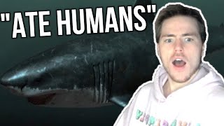 Fish Biologist reacts to quotAI Generated Megalodon Documentaryquot [upl. by Emili]