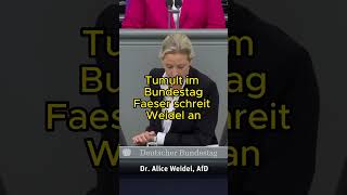 Faeser schreit Weidel im Bundestag an [upl. by Dorren190]