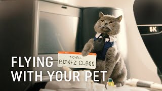 Flying with Your Pet  Turkish Airlines [upl. by Aniled]