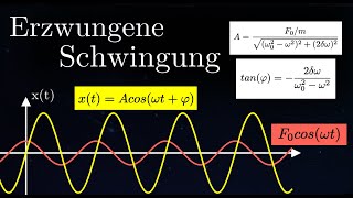 Die Erzwungene Schwingung  Schwingungen 10 von 12 [upl. by Cully514]