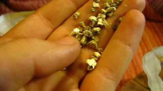 perlite vs vermiculite [upl. by Iong589]