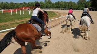 Sternritte  Reiterferien für Traileinsteiger [upl. by Kutzenco]