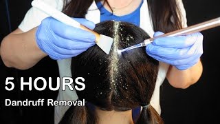 ASMR  5 HOURS  Scalp Check with Bad Results amp Dandruff Treatment Whispered [upl. by Ancelin968]