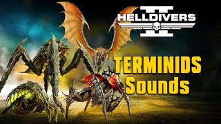 Helldivers 2 Terminids  What do they sound like [upl. by Aneema]