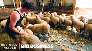 How NZ Farmers Shear 25000 Sheep In 10 Days  Big Business [upl. by Shandee]