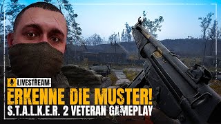 STALKER 2 auf Veteran durchspielen ☢️ Tag 2 Die Geschichte wiederholt sich [upl. by Hibben]