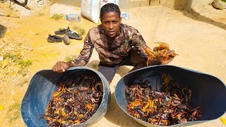 100  black crab catch N cook with friends out doors jamaican style [upl. by Aniaz]