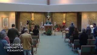 Daily Mass Live Stream  November 19 2024 Tuesday of the Thirtythird Week in Ordinary Time [upl. by Eidderf936]