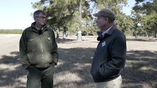 Orchard Produces Loblolly Pine Seeds [upl. by Mariquilla]