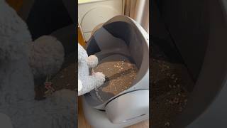 When raising a cat but not wanting to clean the litter box for it Smartcatlitterboxneakasa [upl. by Odelet]