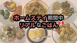 【ホームステイ🇨🇦】期間中の食事全て大公開 [upl. by Mears]