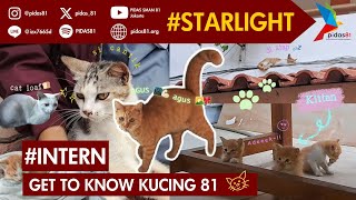 INTERN Get to Know 81s cats [upl. by Odlaner37]