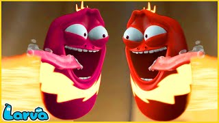 LARVA  Super speed  CARTOON MOVIE FOR LIFE THE BEST OF CARTOON  HILARIOUS CARTOON COMPILATION [upl. by Sholley]