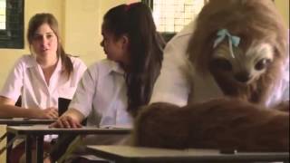 quotOne in five teenagersquot Stoner Sloth at school parody [upl. by Bonns]