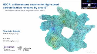 HDCR a filamentous enzyme for highspeed carbon fixation revealed by cryoET  Ricardo Righetto [upl. by Niamert478]