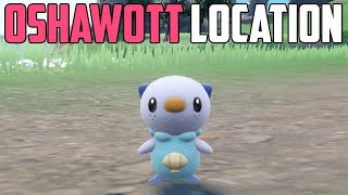 How to Catch Oshawott  Pokémon Scarlet amp Violet DLC [upl. by Latsyrhc]