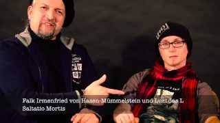 Saltatio Mortis in der Halle 02 in Heidelberg am 17122014 [upl. by Eniowtna110]