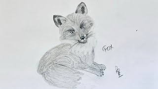 Drawing Fox drawing art sketch animaldrawing animallover fox foxdrawing animals [upl. by Intruok]