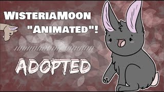 WisteriaMoon quotAnimatedquot  Adopted  Part 1 [upl. by Aynatan]